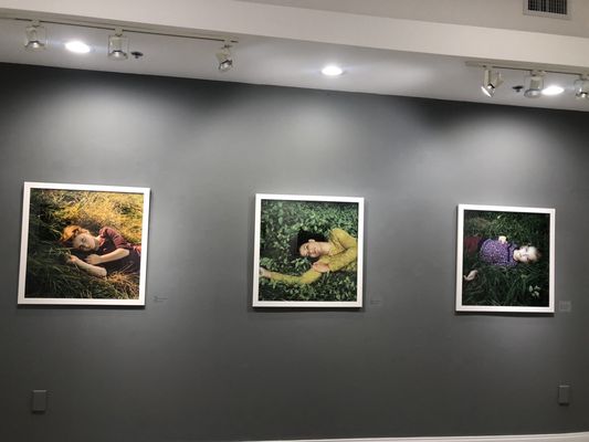 Bailey Contemporary Arts by null