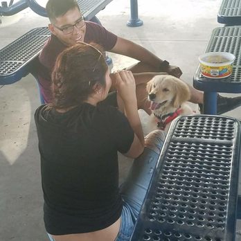 Horns To Halos - Happy smiles all around - Pet Training Near Me - Richlands, North Carolina Horns To Halos - Happy smiles all around - Pet Training Near Me - Richlands, North Carolina