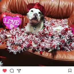 They give special attention to all their clients like this!!! They give special attention to all their clients like this!!!