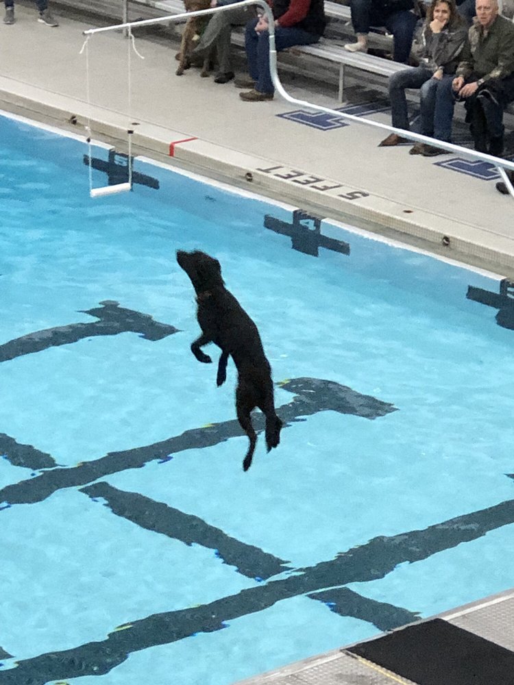 MEMORIAL GYM Field House And Wallace Pool, Orono, Maine Stadiums