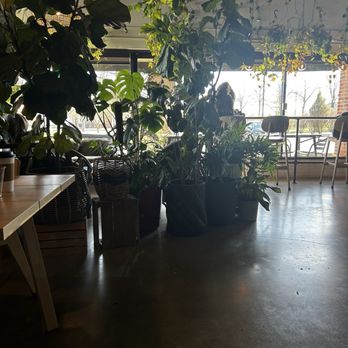 Cafe Conmigo - Coffee & Tea Near Me - Wexford, Pennsylvania
