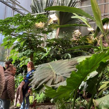 Schokoladenmuseum - Tropical garden with Cacao - Museums Near Me - Cologne, NW Schokoladenmuseum - Tropical garden with Cacao - Museums Near Me - Cologne, NW