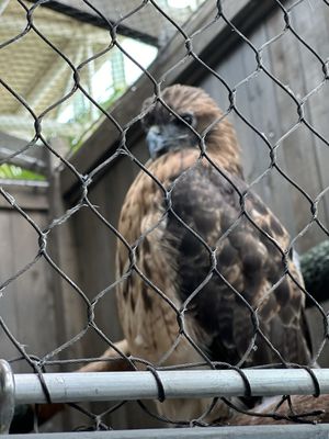Audubon Aquarium by null