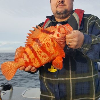 Sharky's Charters - Many colorful and taste rockfish to be caught. - Boat Charters Near Me - Charleston, Oregon Sharky's Charters - Many colorful and taste rockfish to be caught. - Boat Charters Near Me - Charleston, Oregon