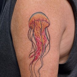 3rd Rock Tattoos - Jellyfish Tattoo by Doug