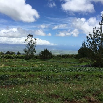 O'o Farms - Food Tours Near Me - Kula, Hawaii O'o Farms - Food Tours Near Me - Kula, Hawaii
