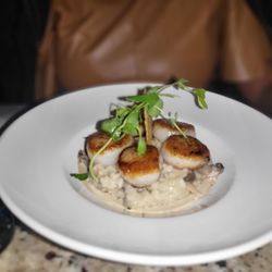 Bastille Brasserie and Bar - NOIX de SAINT JACQUES ATLANTIQUE (GF)