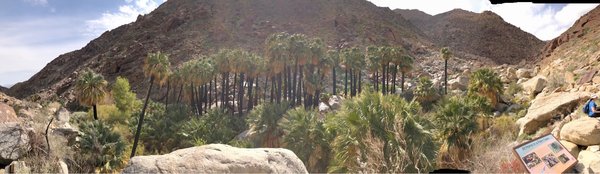 Borrego Palm Canyon Nature Trail by null