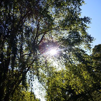 Arnold Arboretum - Parks Near Me - Boston, Massachusetts Arnold Arboretum - Parks Near Me - Boston, Massachusetts
