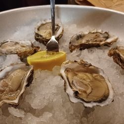 Cafe Sjiek - Oysters