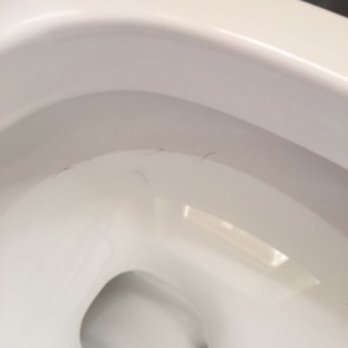 iQ Cleaning - and more hair - Home Cleaning Near Me - Washington, DC, District of Columbia