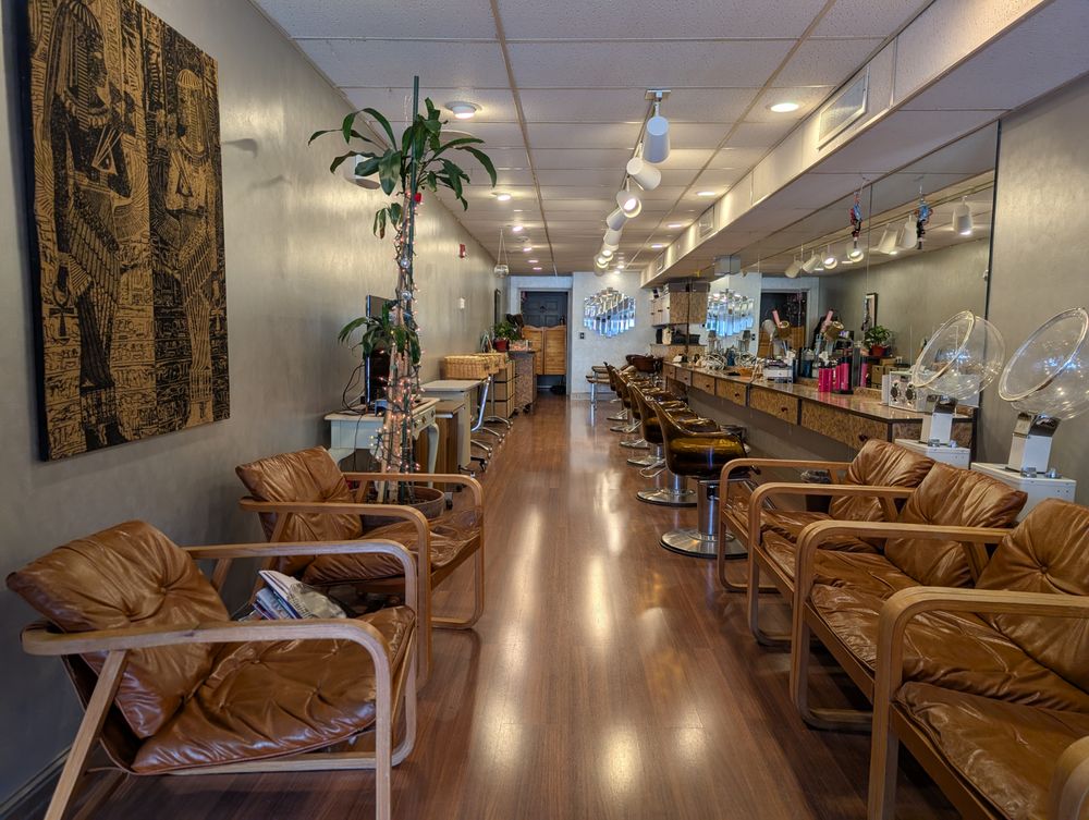 Nefertiti Hair Salon Logo