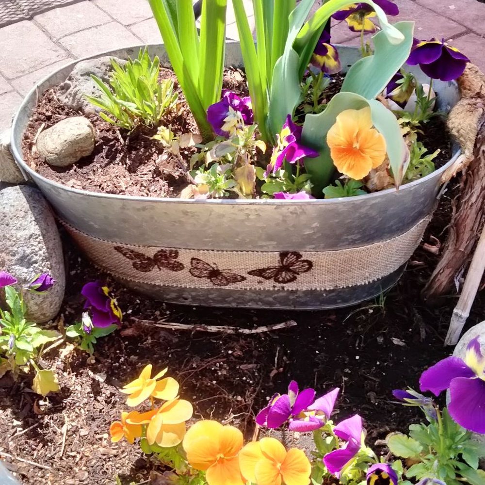 Clary's Bar & Grill - Patio plants! - American Near Me - Reno, Nevada