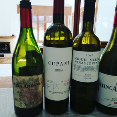 Rioja Wine Tours by null