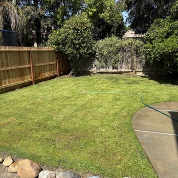 KT Landscaping - Freshly seeded - Landscaping Near Me - Fresno, California KT Landscaping - Freshly seeded - Landscaping Near Me - Fresno, California