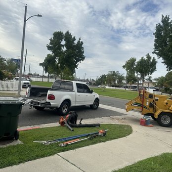 Affordable Tree Care - Quality equipment - Tree Services Near Me Affordable Tree Care - Quality equipment - Tree Services Near Me