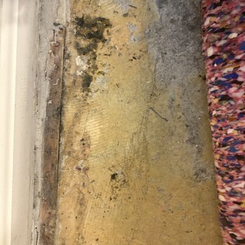 The Wren at Sharon Apartments - Mold, refused to repair - Apartments Near Me - Sharon, Massachusetts