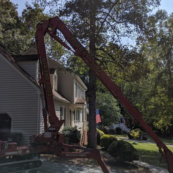 MC Hernandez Tree Service - "Spider" before eating this poplar. - Tree Services Near Me - Midlothian, Virginia