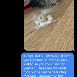 Paws At Main - Riverside - How it ended. No reply after this.