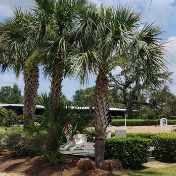 W S Palm Trees & Landscape - Landscaping Near Me W S Palm Trees & Landscape - Landscaping Near Me