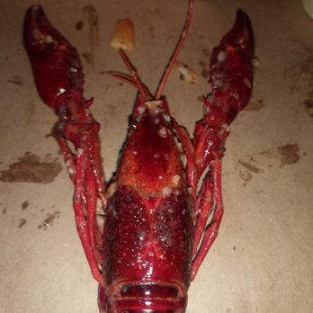 theBoil - Huge crawfish - Cajun/Creole Near Me - New York, New York theBoil - Huge crawfish - Cajun/Creole Near Me - New York, New York