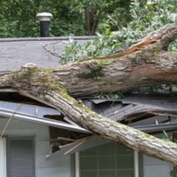 Passionate Restorations - a fallen tree on the roof of a house - General Contractors Near Me - Parkville, Maryland Passionate Restorations - a fallen tree on the roof of a house - General Contractors Near Me - Parkville, Maryland