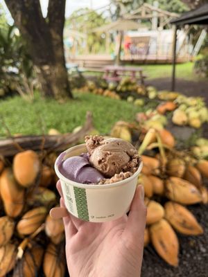 Coconut Glen's by null