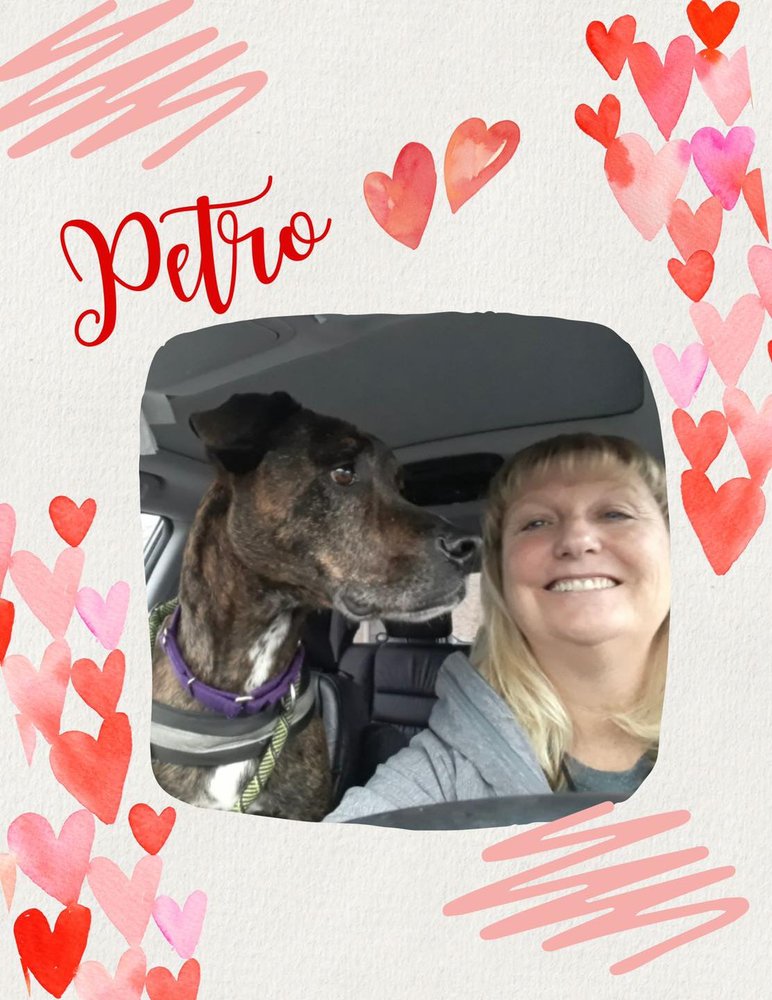 Pet Refuge Image