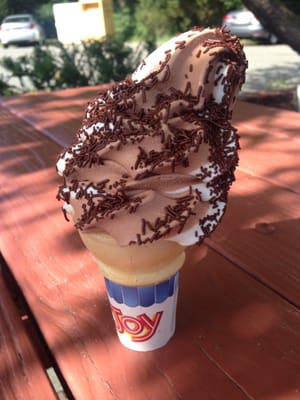 Cedar Hill Dairy Joy by null