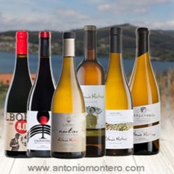 Bodegas Antonio Montero