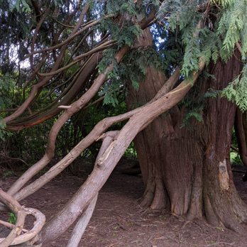 NORTH CREEK PARK - Updated January 2026 - 89 Photos & 32 Reviews - 1011 ...