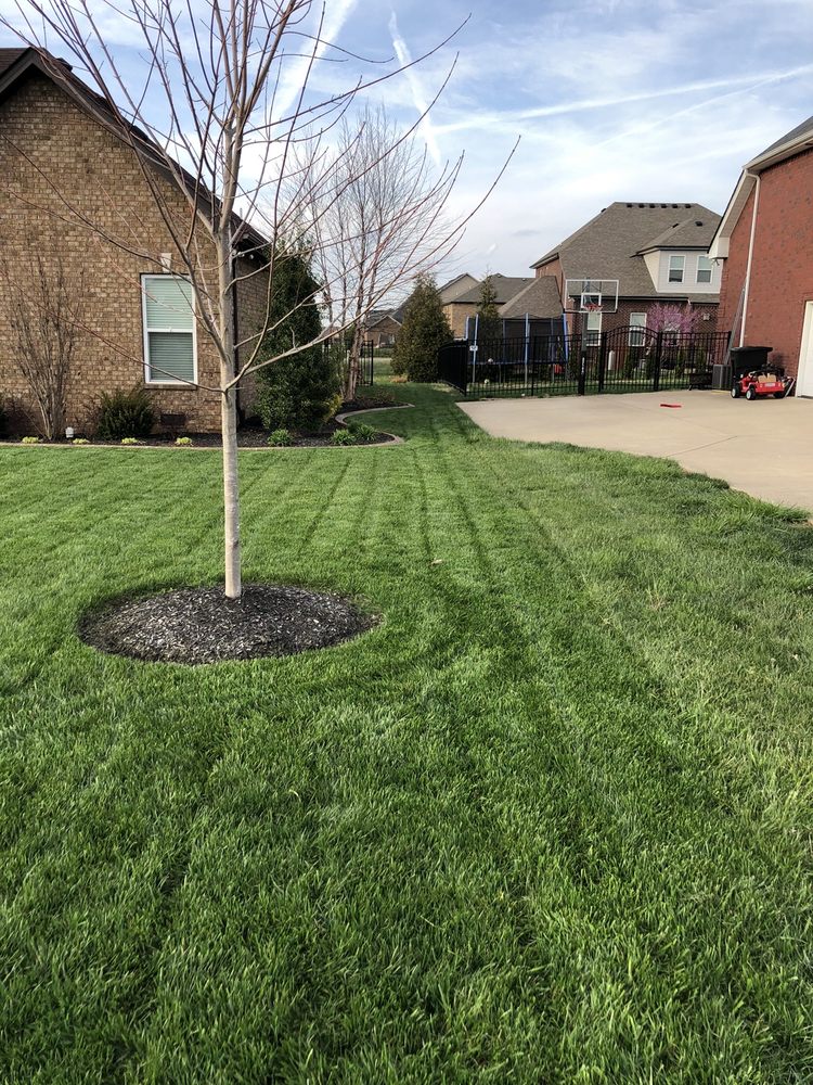LawnWise - tree service in Franklin, TN
