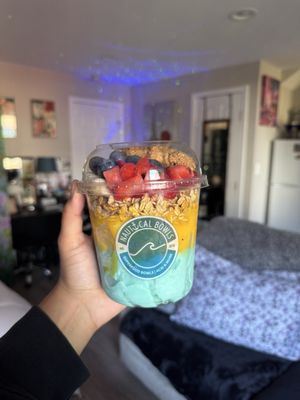 Nautical Bowls by null