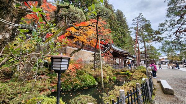 Sakurayama Hachimangu Shrine by null