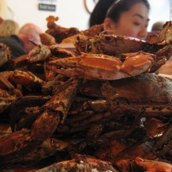 The River Shack - sorry for eating you little guy - Seafood Near Me - Charlestown, Maryland The River Shack - sorry for eating you little guy - Seafood Near Me - Charlestown, Maryland