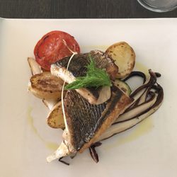 Ritterhof - Wildbarsch