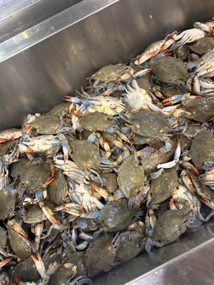 H Mart Duluth by null