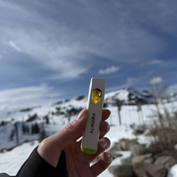 Marin Gardens - Almora AIO vape cartridges available - Cannabis Dispensaries Near Me Marin Gardens - Almora AIO vape cartridges available - Cannabis Dispensaries Near Me