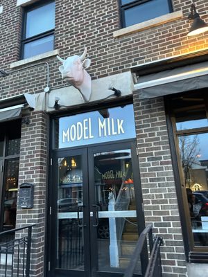 Model Milk by null