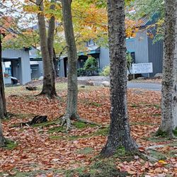Village of Loon Mountain in Lincoln gift card