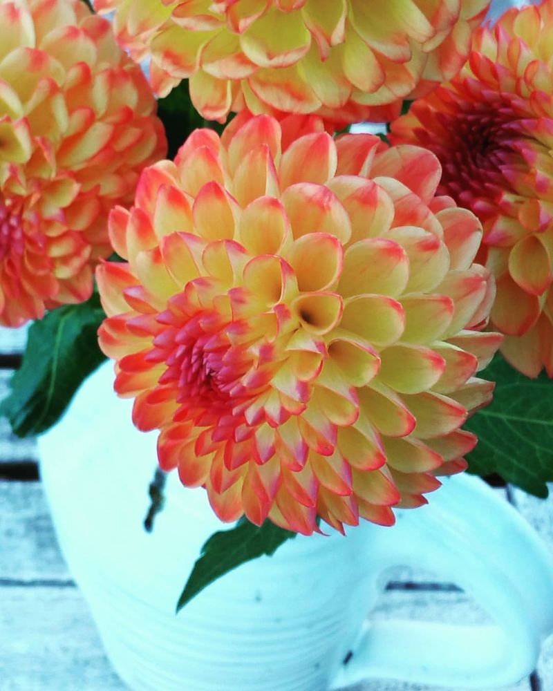 Ingrid Z Johnson, CHt - Boulder Hypnotherapy Center - grief counselor in Boulder, CO