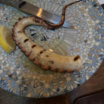 Doya - Grilled Octopus - Turkish Near Me - Miami, Florida Doya - Grilled Octopus - Turkish Near Me - Miami, Florida