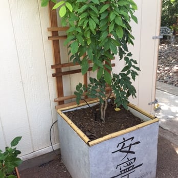 Paradise Ponds - Custom planter - Gardeners Near Me - El Paso, Texas