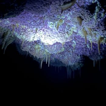 Jewel Cave National Monument - The cave glowing in the dark with yellow drip. - Hiking Near Me - Custer, South Dakota Jewel Cave National Monument - The cave glowing in the dark with yellow drip. - Hiking Near Me - Custer, South Dakota