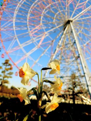 Kasai Rinkai Park 95 Photos 14 Reviews Parks 臨海町6 2 1 葛西臨海公園駅 江戸川区 東京都 Japan Phone Number