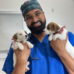 Veterinary Medical Center Union City - Dr Gill