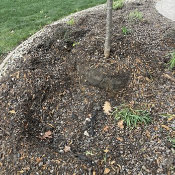 Precise Tree Care - Tree Services Near Me - Frankfort, Illinois