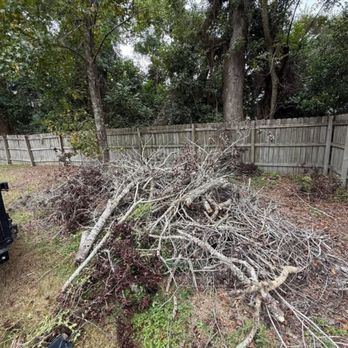 Southeast Junk Removal - Before picture of a job - Junk Removal & Hauling Near Me - Statesboro, Georgia Southeast Junk Removal - Before picture of a job - Junk Removal & Hauling Near Me - Statesboro, Georgia