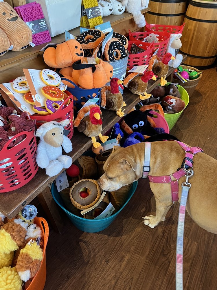 HOT DIGGITY Updated July 2024 13 Reviews 1 Central Sq, Mashpee