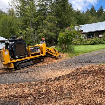 Faley Stump Grinding - Tree Services Near Me
